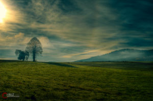 Nebel | Nikon D5100