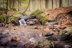 Autumn Creek | Nikon D5300