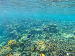 Malediven Kuredu | GoPro